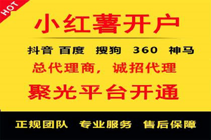 谷歌SEM与移动端优化：某APP的推广策略及效果